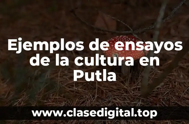 Ejemplos de ensayos de la cultura en Putla