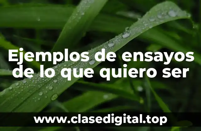 Ejemplos de ensayos de lo que quiero ser