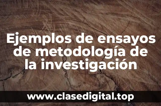 Ejemplos de ensayos de metodología de la investigación