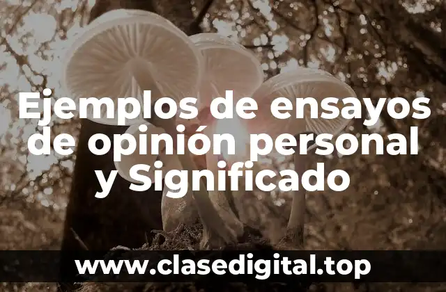 Ejemplos de ensayos de opinión personal y Significado