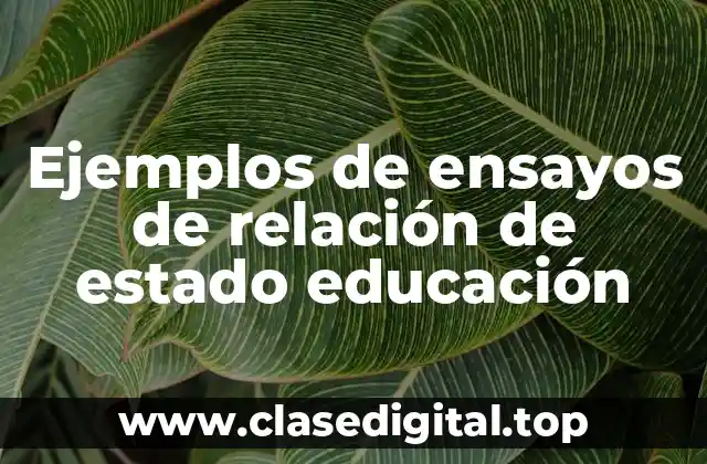 Ejemplos de ensayos de relación de estado educación