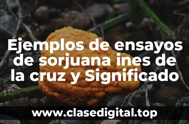 Ejemplos de ensayos de sorjuana ines de la cruz y Significado