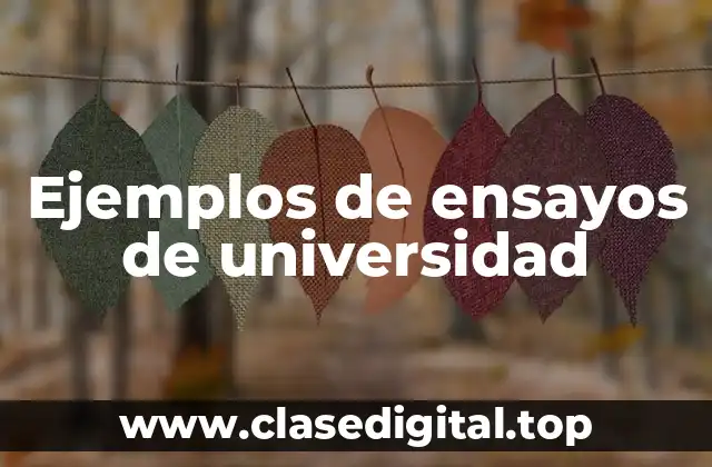 Ejemplos de ensayos de universidad