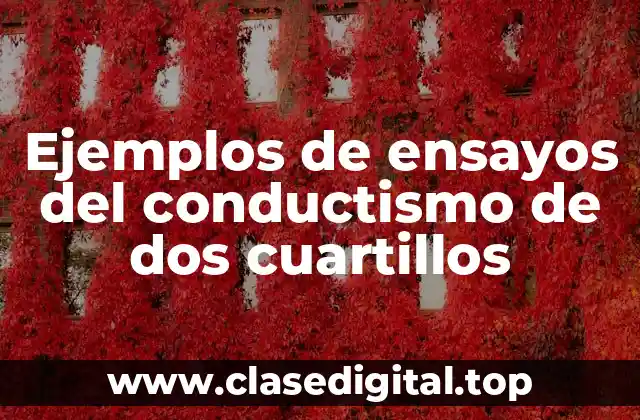 Ejemplos de ensayos del conductismo de dos cuartillos