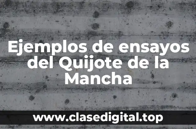 Ejemplos de ensayos del Quijote de la Mancha
