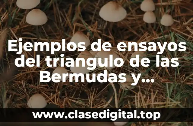 Ejemplos de ensayos del triangulo de las Bermudas y Significado