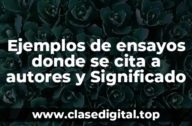 Ejemplos de ensayos donde se cita a autores y Significado
