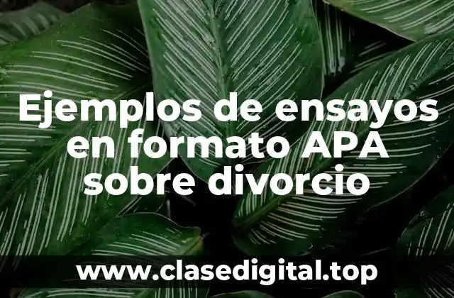 Ejemplos de ensayos en formato APA sobre divorcio