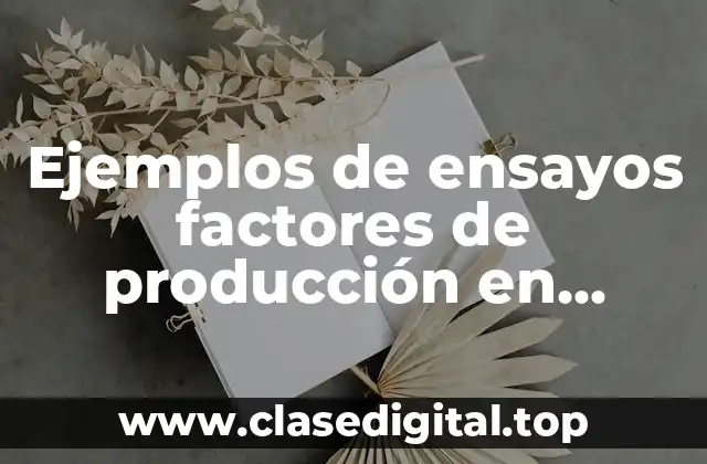 Ejemplos de ensayos factores de producción en economía