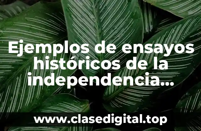 Ejemplos de ensayos históricos de la independencia mexicana
