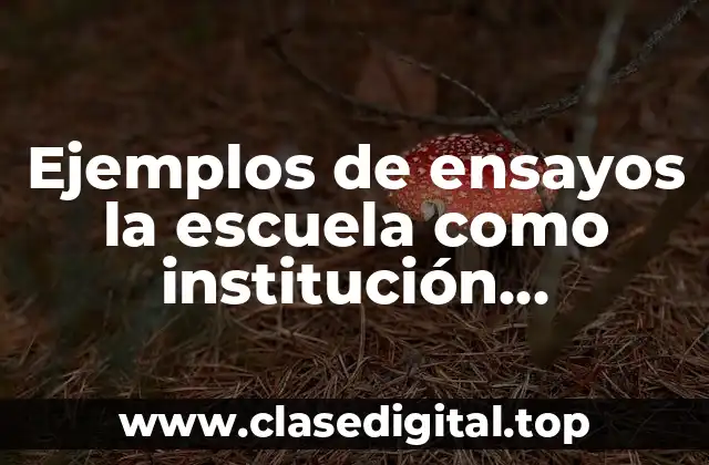 Ejemplos de ensayos la escuela como institución educativa y Significado