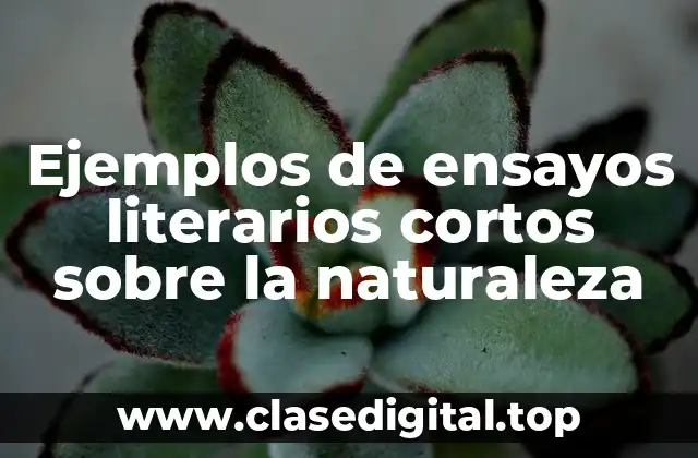 Ejemplos de ensayos literarios cortos sobre la naturaleza
