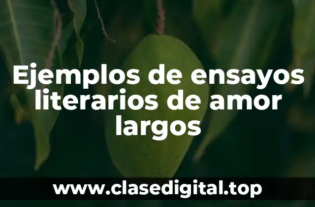 Ejemplos de ensayos literarios de amor largos