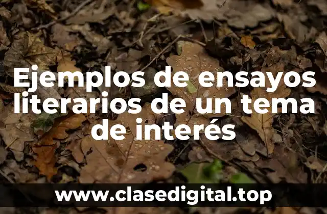 Ejemplos de ensayos literarios de un tema de interés