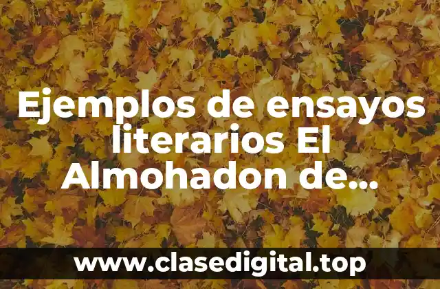 Ejemplos de ensayos literarios El Almohadon de Plumas