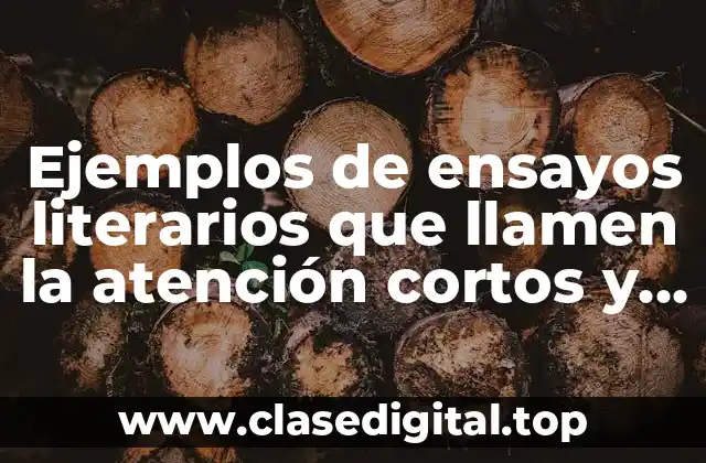 Ejemplos de ensayos literarios que llamen la atención cortos y Significado