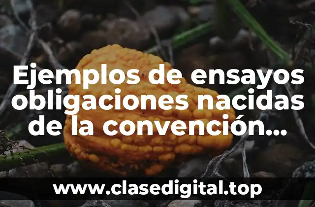 Ejemplos de ensayo obligación nacida de la convención derechos romanos