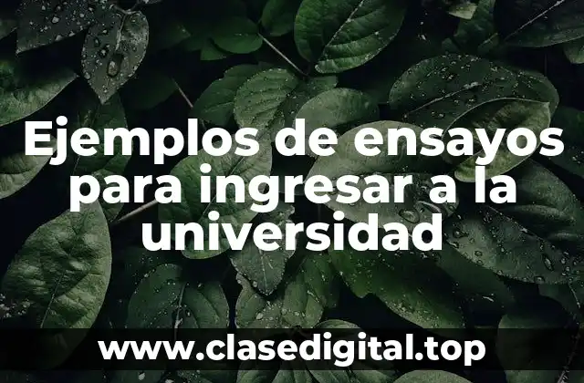 Ejemplos de ensayos para ingresar a la universidad