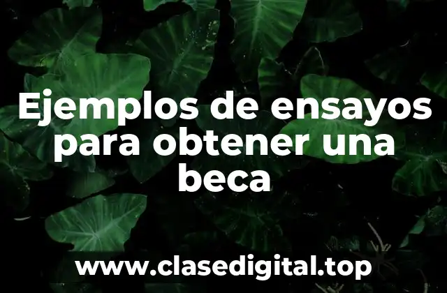 Ejemplos de ensayos para obtener una beca