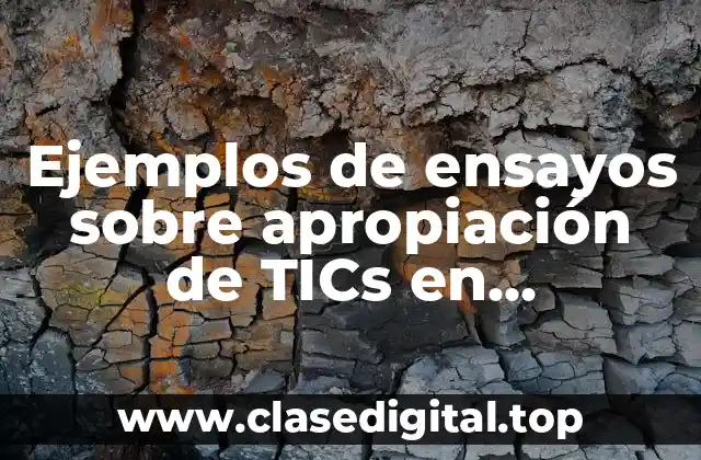 Ejemplos de ensayos sobre apropiación de TICs en secundaria