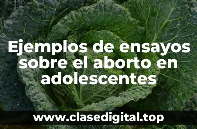 Ejemplos de ensayos sobre el aborto en adolescentes
