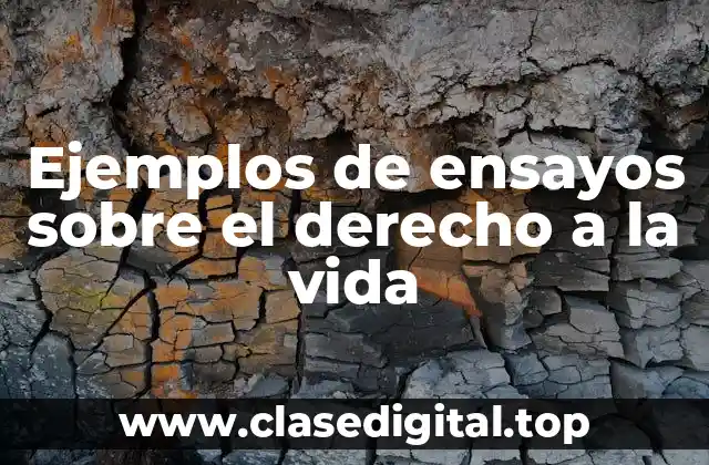 Ejemplos de ensayos sobre el derecho a la vida