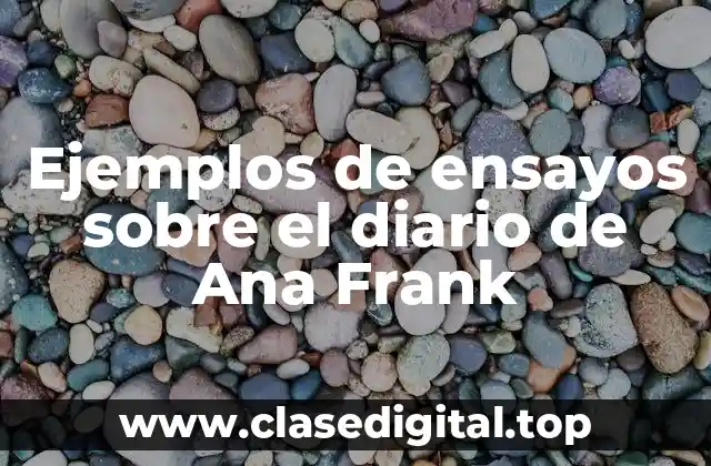 Ejemplos de ensayos sobre el diario de Ana Frank