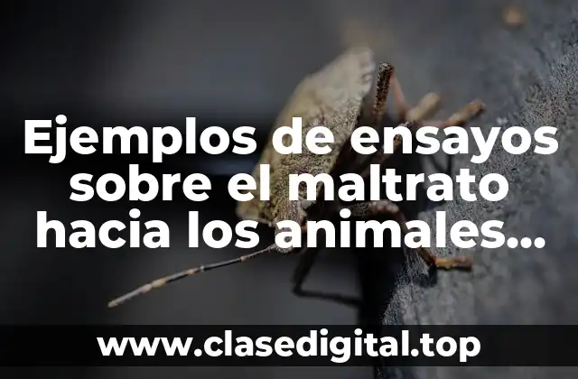Ejemplos de ensayos sobre el maltrato hacia los animales