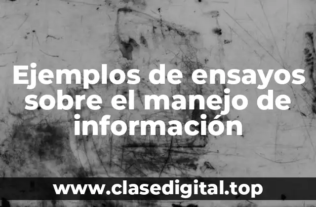 Ejemplos de ensayos sobre el manejo de información