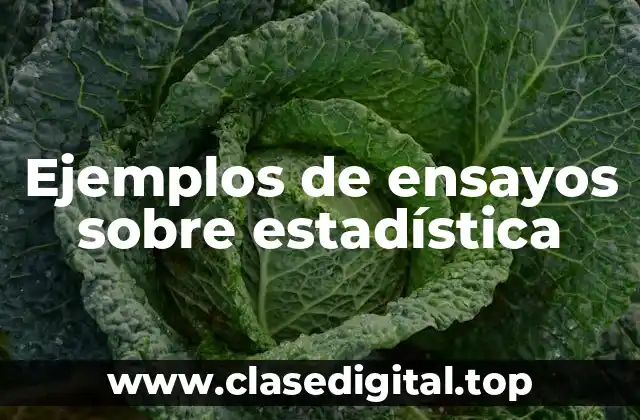 Ejemplos de ensayos sobre estadística