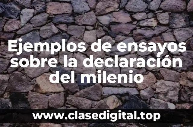 Ejemplos de ensayos sobre la declaración del milenio