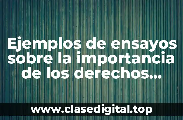 Ejemplos de ensayos sobre la importancia de los derechos humanos