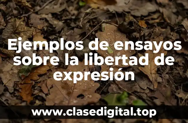 Ejemplos de ensayos sobre la libertad de expresión