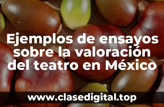 Ejemplos de ensayos sobre la valoración del teatro en México