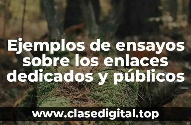 Ejemplos de ensayos sobre los enlaces dedicados y públicos