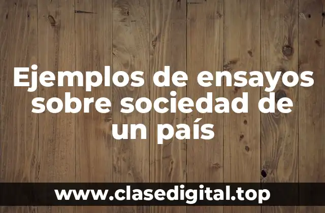 Ejemplos de ensayos sobre sociedad de un país