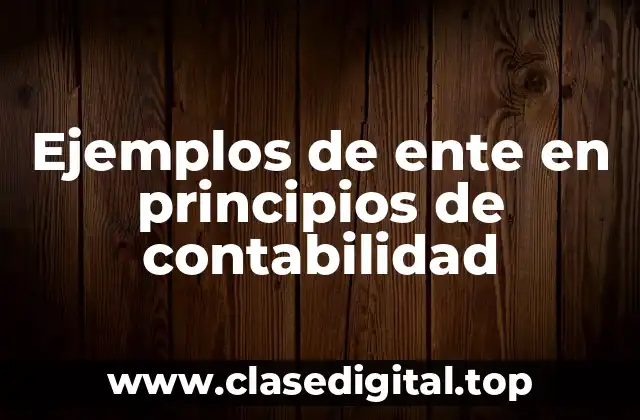 Ejemplos de ente en principios de contabilidad