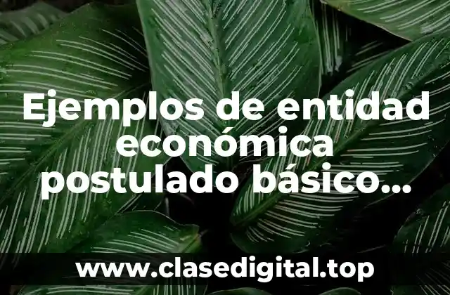 Ejemplos de entidades económicas postulado básico unidad identificable