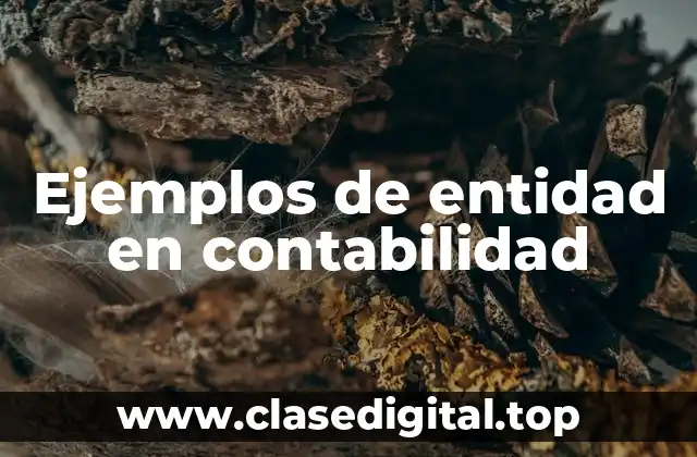Ejemplos de entidad en contabilidad
