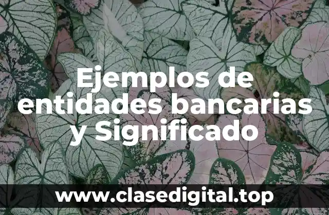Ejemplos de entidades bancarias y Significado