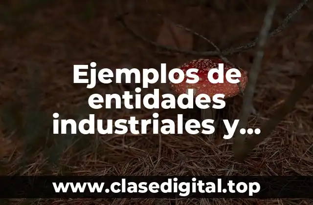 Ejemplos de entidades industriales y Significado
