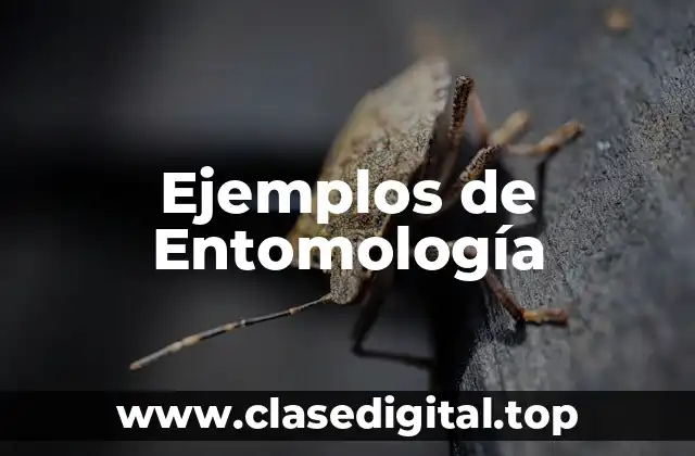 Ejemplos de Entomología
