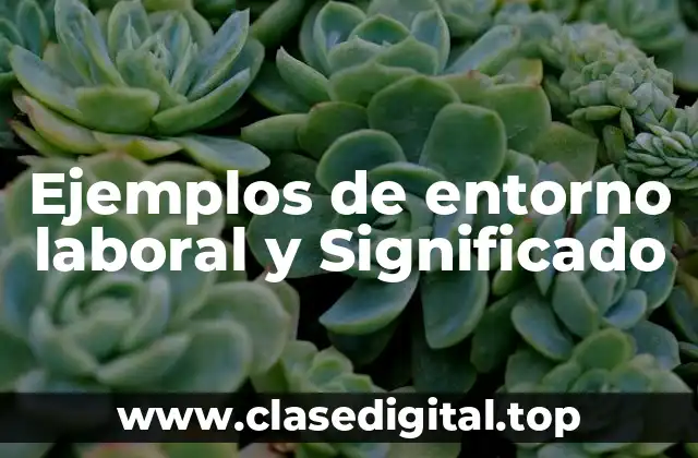 Ejemplos de entorno laboral