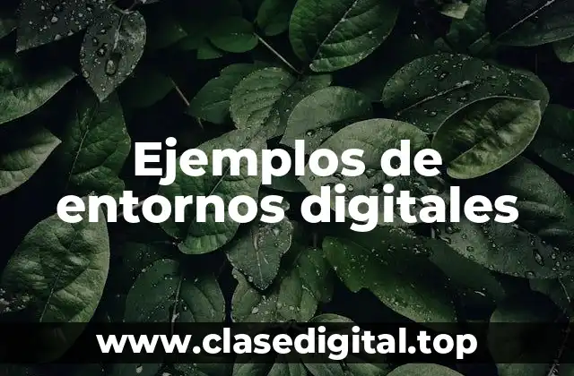 Ejemplos de entornos digitales