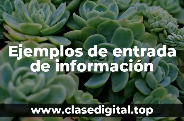 Ejemplos de entrada de información