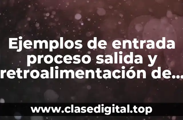 Ejemplos de entrada proceso salida y retroalimentación de un sistema