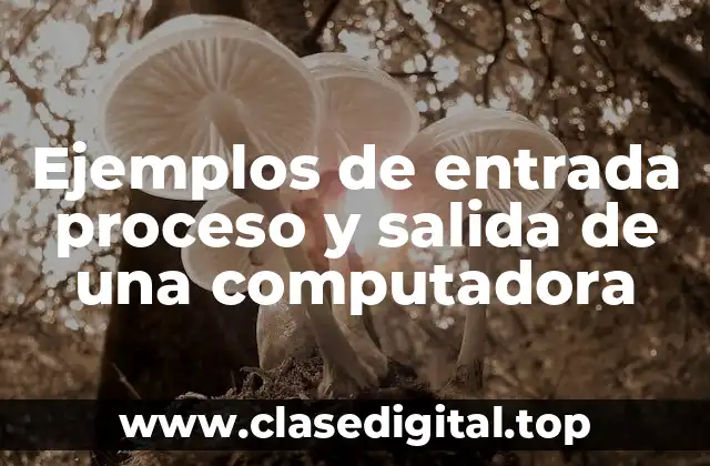 Ejemplos de entrada proceso y salida de una computadora