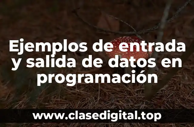 Ejemplos de entrada y salida de datos en programación