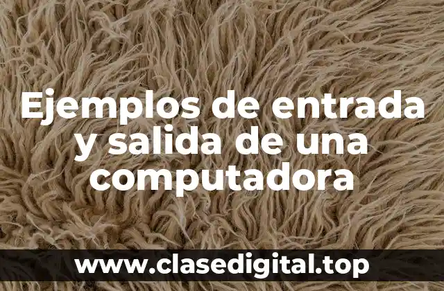 Ejemplos de entrada y salida de una computadora