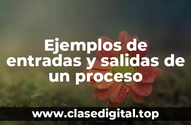 Ejemplos de entradas y salidas de un proceso